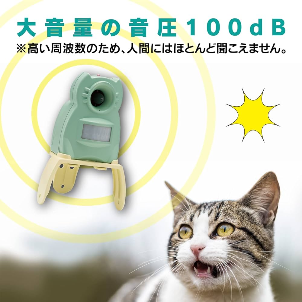 71+tQhKfsDL._AC_UF1000,